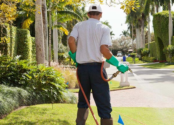 About Thomaston GA Pest Control Pros